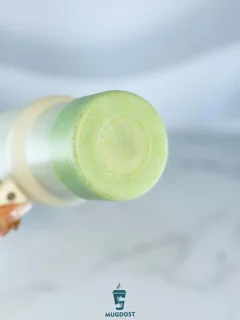 Stanley Silicone Boot رنگ سبز ماچا